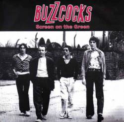 Buzzcocks : Screen on the Green